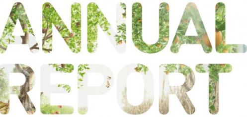 annual report