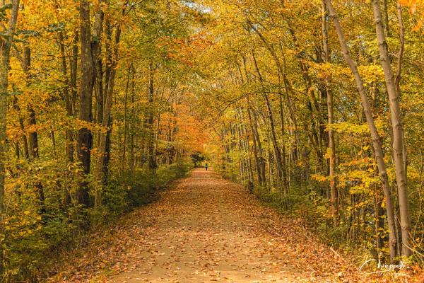 trail