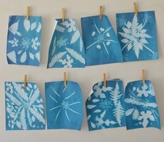 Sunprints