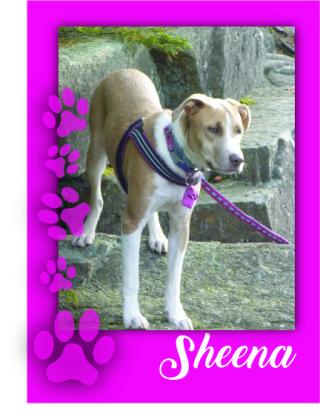 Sheena